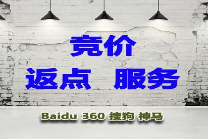某电商企业如何通过百度竞价广告提升销售额